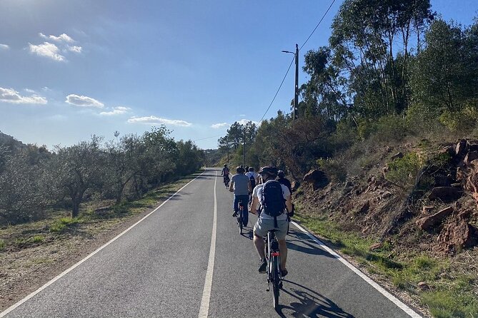 Half-Day Small-Group E-Bike Tour of Rural Algarve with Lunch - Sao Bartolomeu de Messines rides and the rock-point picnic view