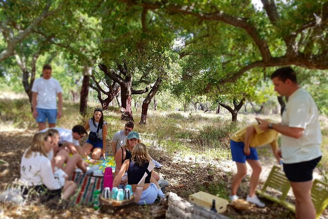 Half-Day Small-Group E-Bike Tour of Rural Algarve with Lunch - E-bike comfort on Algarve hills near Silves