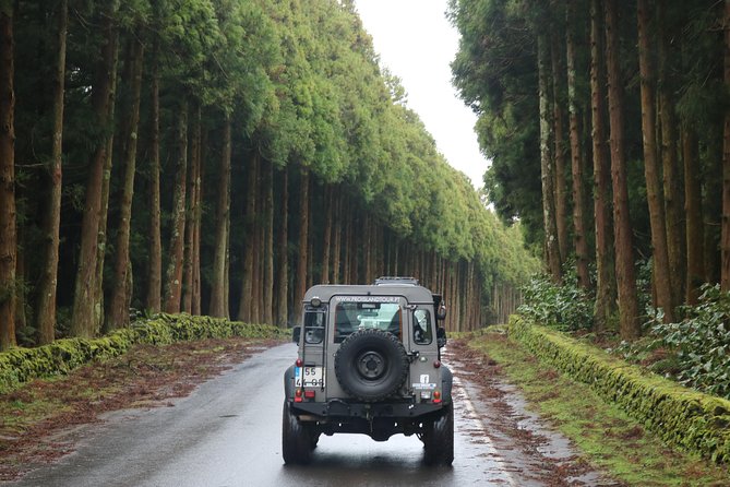 Half Day Terceira Island Tour by 4x4 - Guides make or break the day, and here the bar is high