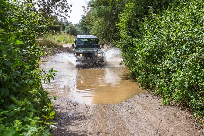 Half-day tour 4x4 West Coast of the Natural Park - Viewpoint time: cliffs over 100 metres, plus a short nature walk