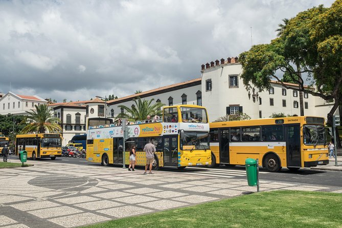 Hop-on Hop-off Bus Tour and Catamaran Whale & Dolphin Watching - Practical tips so you actually enjoy the day