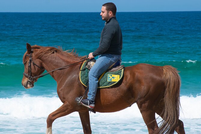 Horse Riding on Melides Beach - Key highlights at a glance