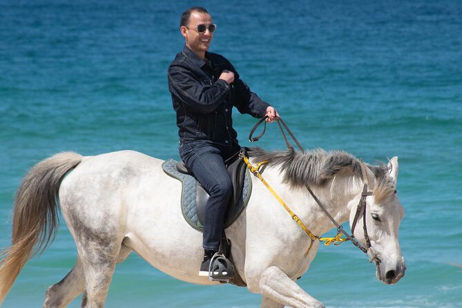 Horse Riding on Melides Beach - The 90 minutes that turns into an Alentejo memory