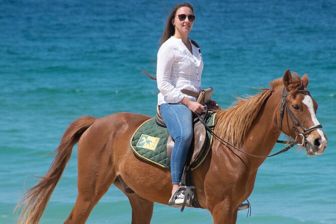 Horse Riding on Melides Beach - Horses, care, and what that means for your ride