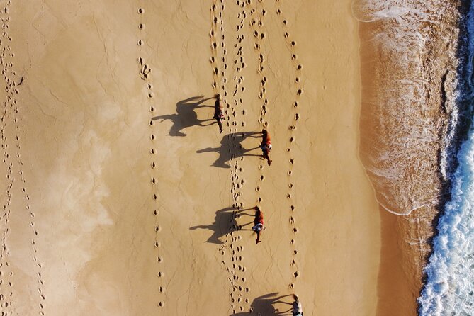 Horse Riding on Melides Beach - Weather and beach conditions: what can change in real life