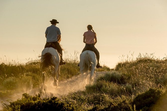 Horse Riding on the Beach - Key Highlights You Will Actually Care About
