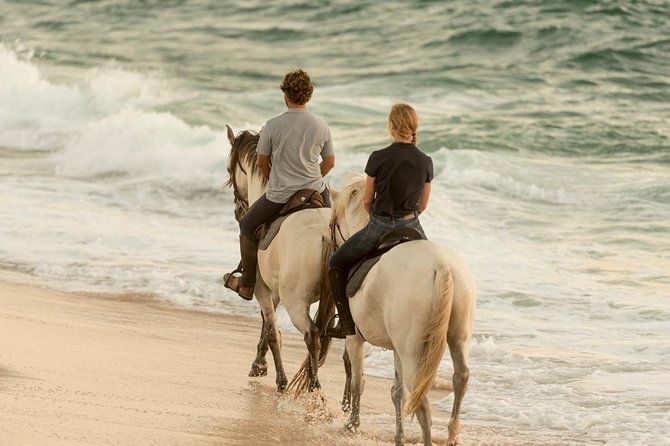 Horse Riding on the Beach - The Route: Paws-on-Sand Calm, Then Ocean Views