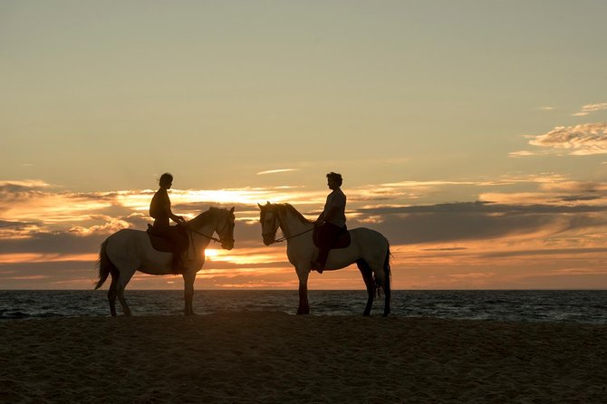 Horse Riding on the Beach - Price and Value: Why $98.84 Makes Sense Here