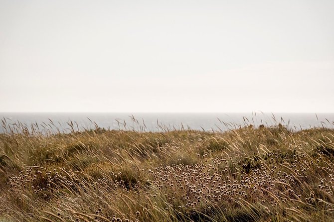Horse Riding on the Beach - What to Expect Comfort-Wise (So You Enjoy It, Not Survive It)