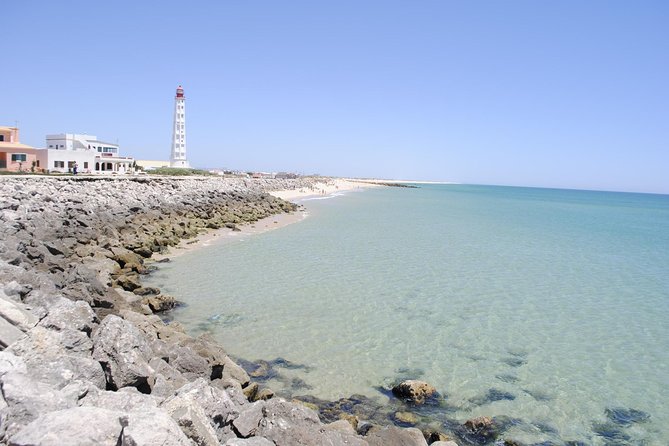 Ilha Deserta and Farol Island: a small group boat trip in Ria Formosa from Faro - Guides, bird talk, and the small-group advantage