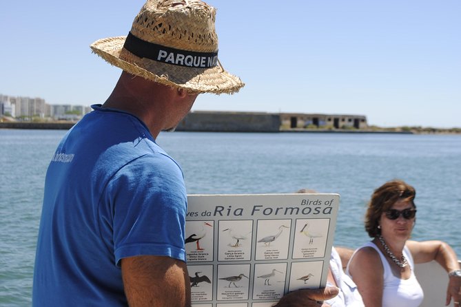 Ilha Deserta and Farol Island: a small group boat trip in Ria Formosa from Faro - Who should book this Faro boat trip (and who might want something else)