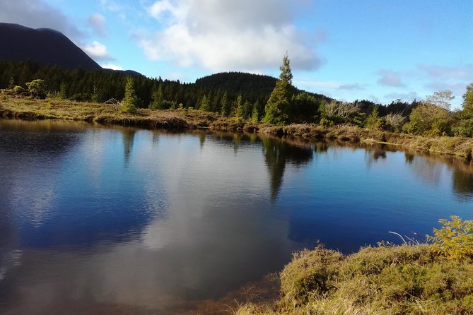 In and Around Terceira Island in a 4X4 - 4x4 Terceira: a safari feeling without the long flight