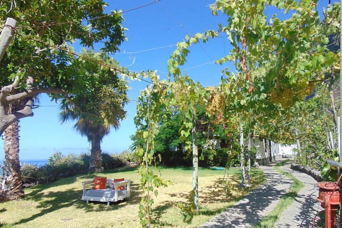 Incredible tour to a 'Faja' with a story - Should I book Fajã dos Padres? My take