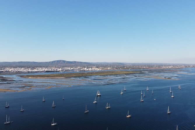 Islands Tour: Half Day Cruise in Ria Formosa Natural Park - Price and value: $30.17 for a lagoon sampler