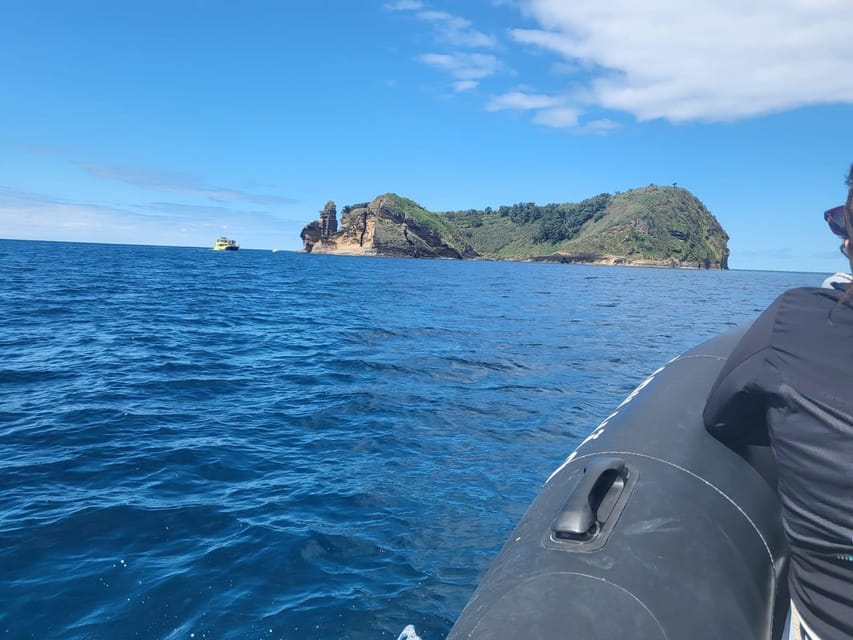 Islet Tour- Ilhéu de Vila Franca do Campo - Dolphins sometimes on the way back