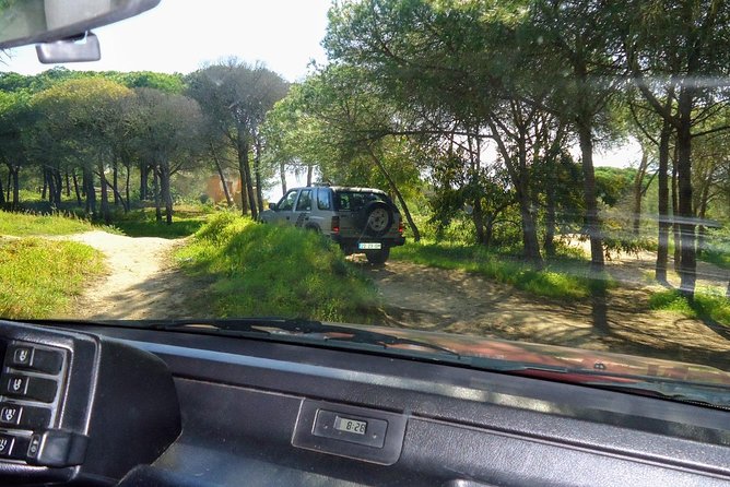 Jeep half day tour of our Algarve coast and mountains - Stop 1: Alvor, Fishing-Village Culture, and the Salva Vidas Museum