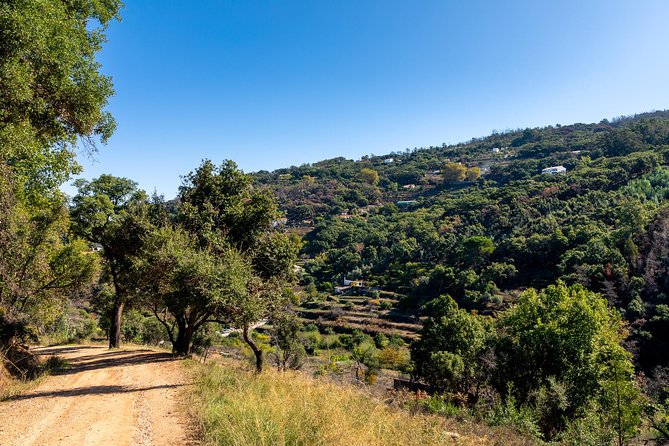 Jeep Safari #1 in Algarve - Starting in Portimão: what the first hour feels like