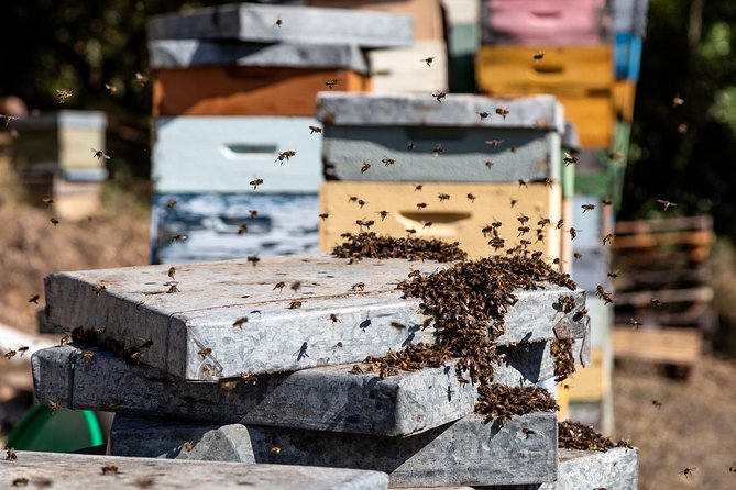 Jeep Safari #1 in Algarve - The distillery visit: medronho tasting plus honey the old way