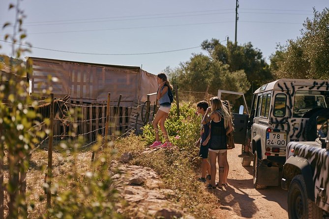 Jeep Safari Tour - Full Day - Pickup, timing, and the Land Rover Defender ride reality