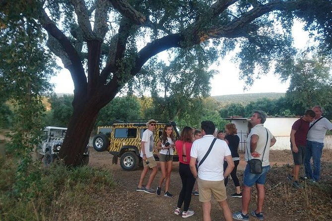 Jeep Safari Tour - Full Day - Stop 4: Moinho do Leitão and what a working mill teaches