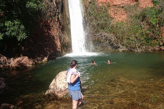 Jeep Safari Tour - Full Day - Guides make or break the safari day