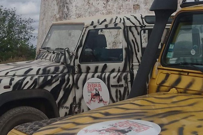 Jeep Safari Tour - Half Day - Key highlights worth knowing