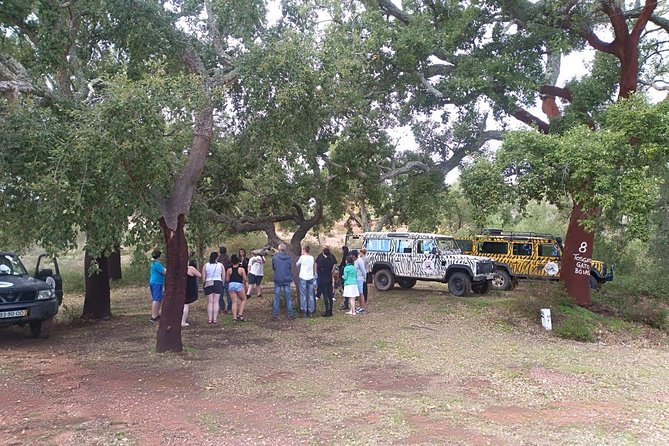 Jeep Safari Tour - Half Day - Picking your seats: hearing, visibility, and the open-top question