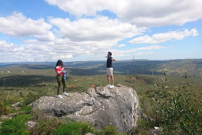 Jeep Safari Tour - Half Day - The main safari portion: fruit country, high views, and a liquor tasting stop