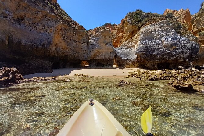 Kayak Adventure through the Ponta da Piedade Caves in Lagos - Kayaking the Coast to Ponta da Piedade: How the Route Feels