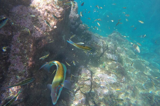 Kayak and Snorkeling Tour in Underwater Nature Reserve Garajau - Guides and how they shape the experience (Borja, Nacho, Bosco, Antonio Ramos, Pedro, Hugo)