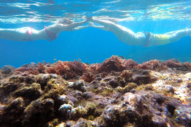 Kayak and Snorkeling Tour in Underwater Nature Reserve Garajau - Weather and cancellations: what happens when the sea is rough?