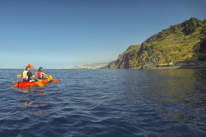 Kayak and Snorkeling Tour in Underwater Nature Reserve Garajau - Snorkeling in Garajau’s Atlantic playground: what you might see