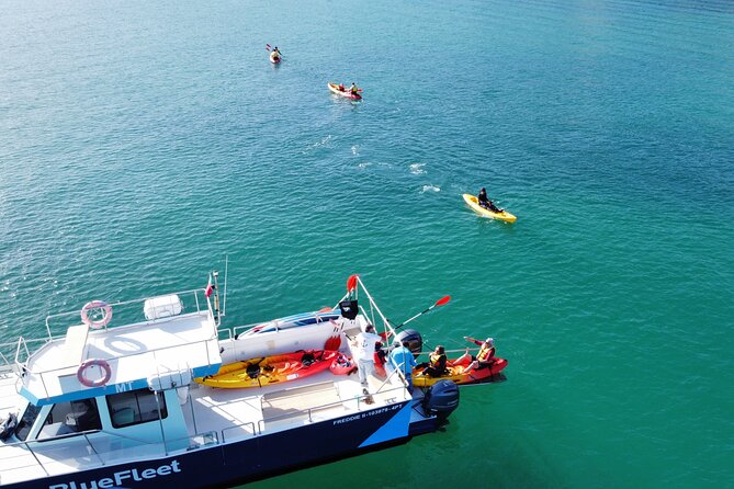 Kayak Experience in Ponta da Piedade - Weather Rules: Why “Good Weather” Is Part of the Deal