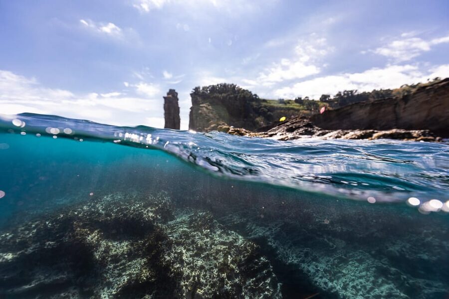 Kayak Guided Tour: Vila Franca do Campo Islet - Price and Value: Is $76 Worth It?