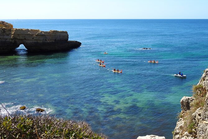 Kayak into the Hidden Caves and Secret Beaches - Why the tour feels special: local info, energy, and dolphins (sometimes)