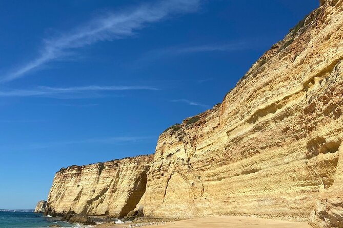 Kayak Tours with Amazing Caves, sea life and Marine Biologist . - Key things I think you’ll remember