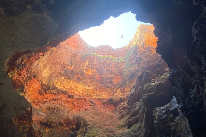 Kayak Tours with Amazing Caves, sea life and Marine Biologist . - Ferragudo to the cave zone: what the 3 hours really feels like