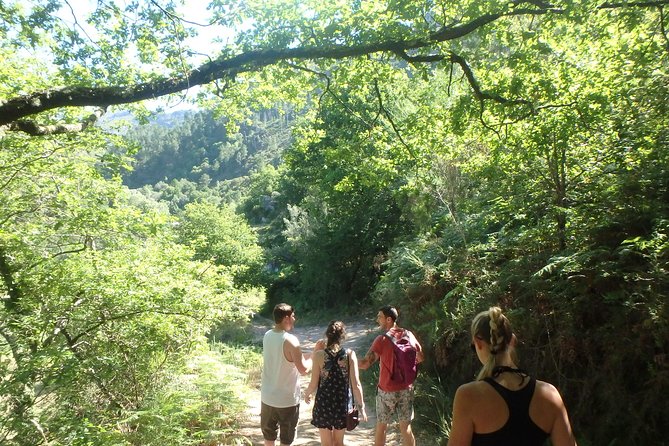 Kayaking and Waterfall in Peneda-Gerês National Park from Porto - Weather and route changes: how to plan for real-life forecasts