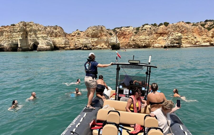 Lagoa: Dolphin Watching & Benagil Tour with Biologist Guide - Price and value: is $76 worth it?