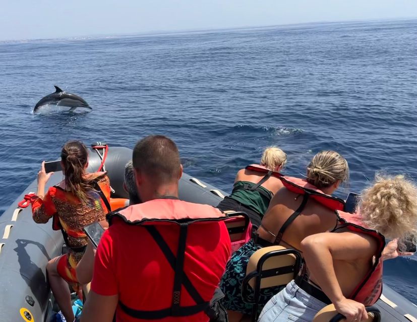 Lagoa: Dolphins Expedition with biologist guide on board - Coastal Dolphin Safari with a Biologist on Board (Lagoa, Portugal)