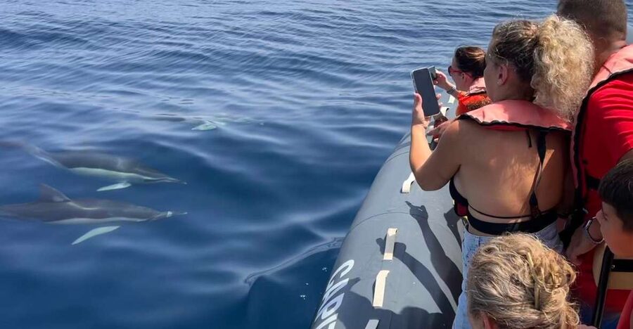 Lagoa: Dolphins Expedition with biologist guide on board - Getting to the meeting point near Capitão Nemo Algarve (and where to park)