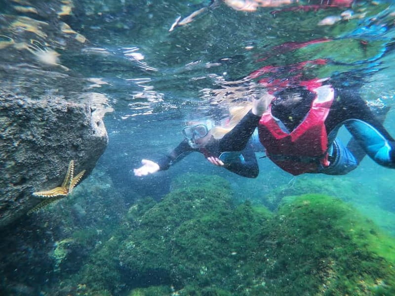 Lagos: Algarve Coasteering and Snorkeling Adventure - Who should book, and who should skip this coasteering day