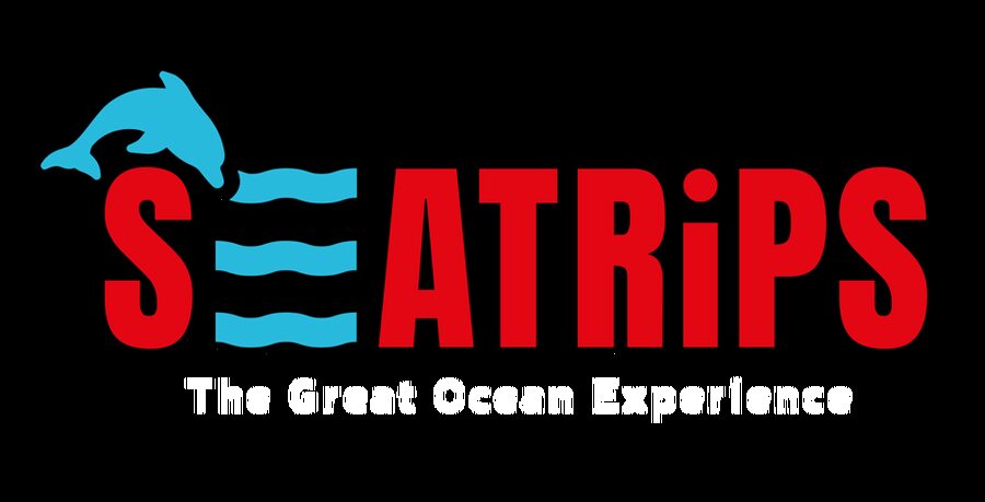 Lagos: Combo Dolphin and Benagil Tour with Marine Biologist - Key Highlights You Should Care About