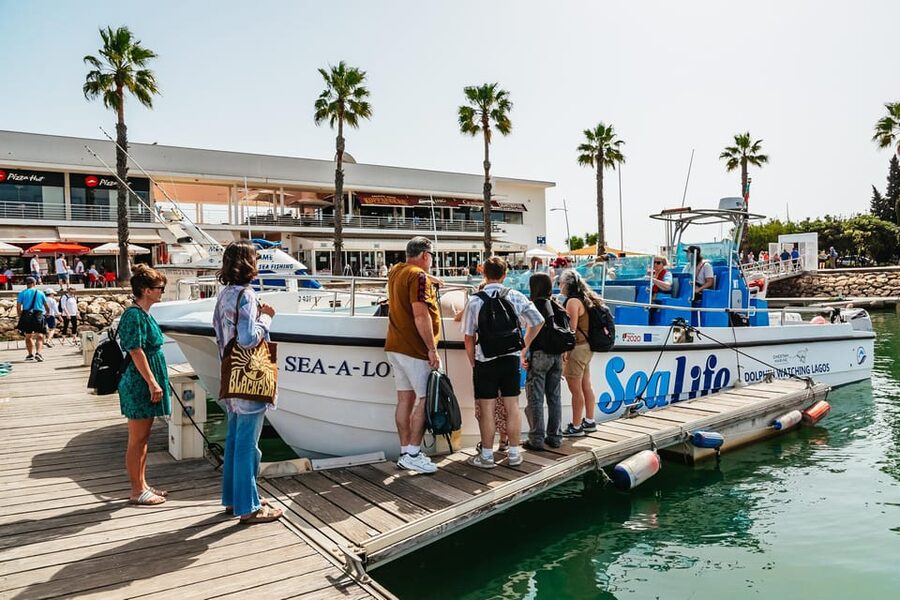 Lagos: Dolphin Watch Tour with Professional Marine Biologist - Conservation and data collection, explained in plain terms