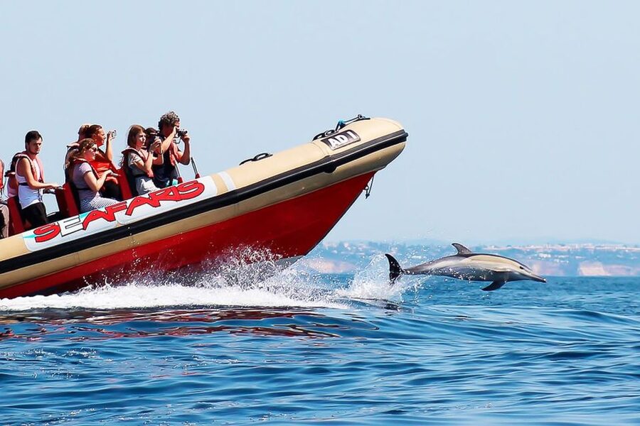 Lagos: Dolphin Watching with Professional Marine Biologists - Weather reality in Lagos: plan for wind and flexibility