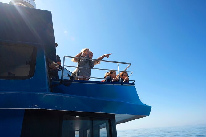 Lagos: Dolphins & Benagil Caves – Catamaran - How the 3.5 hours usually flow on the water