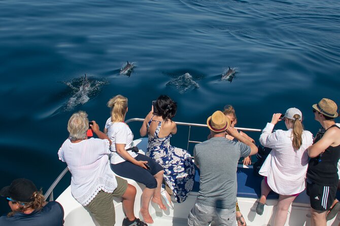 Lagos: Dolphins & Benagil Caves – Catamaran - Ponta da Piedade caves: the coast stop that gives instant wow