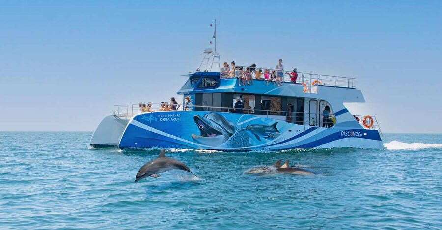 Lagos: Dolphins & Caves - Catamaran - Key things to notice before you go