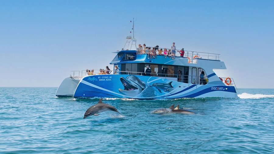 Lagos: Dolphins & Caves - Catamaran - Boarding in Lagos: Marina de Lagos and a catamaran that feels built for comfort