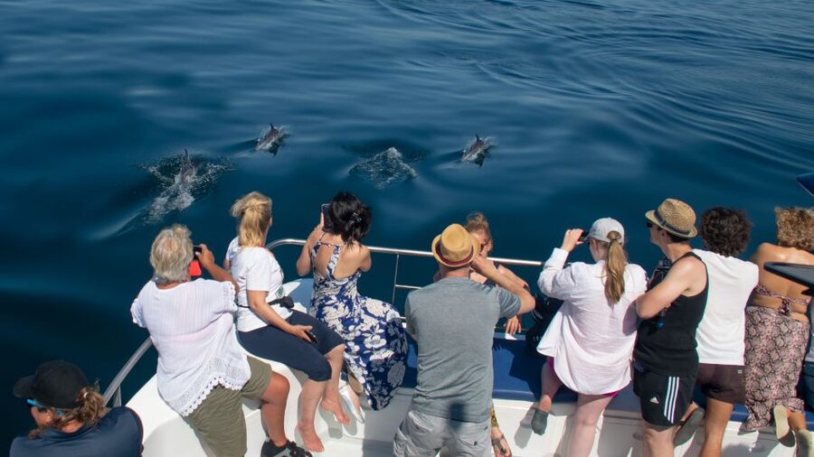 Lagos: Dolphins & Caves - Catamaran - Should you book Lagos: Dolphins & Caves on this catamaran?